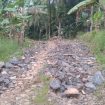 Keterangan foto : Jalan JUT di Desa Cikeusik, Kecamatan Wanasalam, Rabu (14/1/2026)