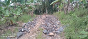 Keterangan foto : Jalan JUT di Desa Cikeusik, Kecamatan Wanasalam, Rabu (14/1/2026)