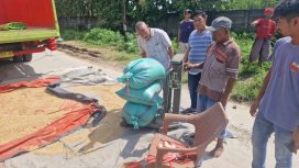 Keterangan foto : Bulog Lebak dan Pandeglang serap gabah petani, Minggu (25/1/2026)