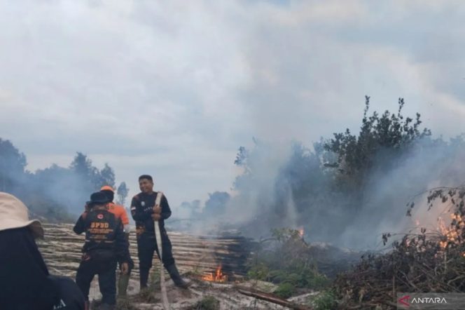 
					BNPB: Terjadi Kebakaran Hutan di Aceh, Riau dan Kalteng