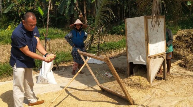 Keterangan foto : Bulog hadir untuk petani, Jumat (17/4/2026)