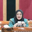 Keterangan foto : Anggota DPR RI Adde Rosi, Rabu (15/4/2026)